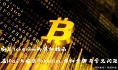 iPad安装Tokenim的详细指南如
