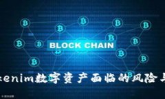 不备份Tokenim数字资产面临的风险与应对策略