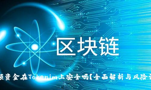 大额资金在Tokenim上安全吗？全面解析与风险评估