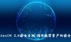 深入探讨TokenIM 2.0安全自测