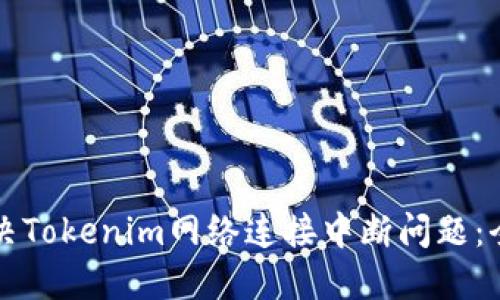 如何解决Tokenim网络连接中断问题：全面指南