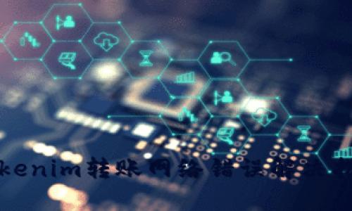 Tokenim转账网络错误解决指南