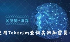 如何使用Tokenim查询其他加