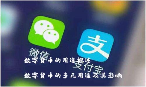 数字货币的用途概述

数字货币的多元用途及其影响