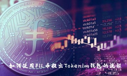  如何使用FlL币提出Tokenim钱包的流程