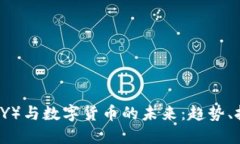 人民币（CNY）与数字货币