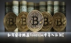 如何安全地在Tokenim中导入
