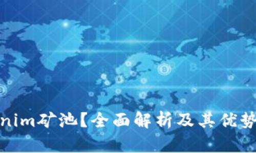 什么是Tokenim矿池？全面解析及其优势与潜在风险