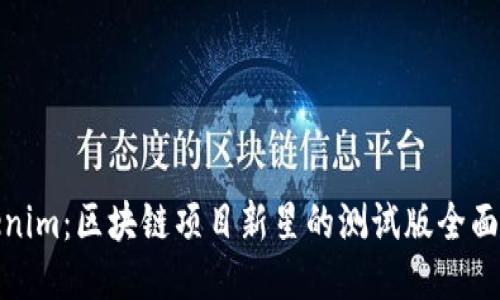 Tokenim：区块链项目新星的测试版全面揭秘