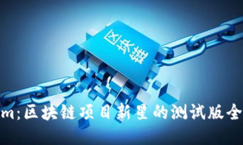 Tokenim：区块链项目新星的测试版全面揭秘