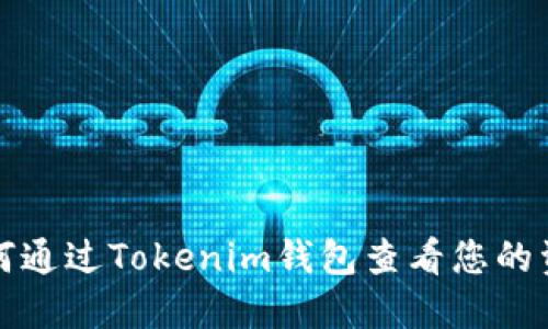 如何通过Tokenim钱包查看您的资产