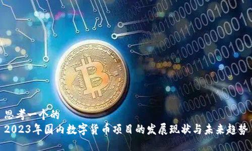 思考一个的  
2023年国内数字货币项目的发展现状与未来趋势