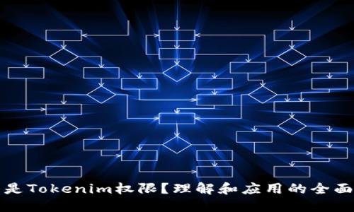 什么是Tokenim权限？理解和应用的全面指南