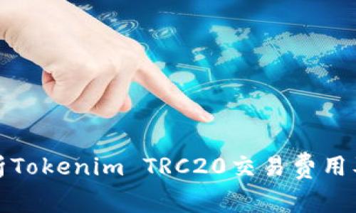 深入解析Tokenim TRC20交易费用及其策略