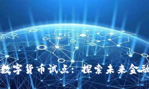 深圳地区数字货币试点: 探索未来金融的新模式