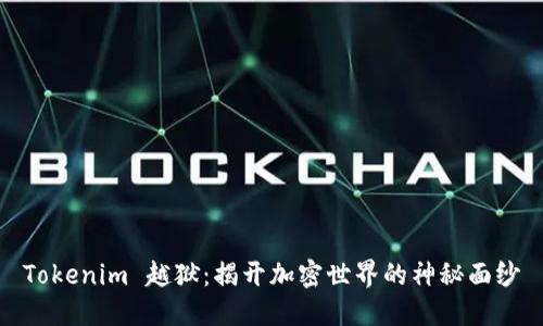 Tokenim 越狱：揭开加密世界的神秘面纱