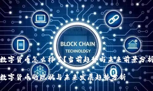 数字货币怎么样了？当前趋势与未来前景分析

数字货币的现状与未来发展趋势分析