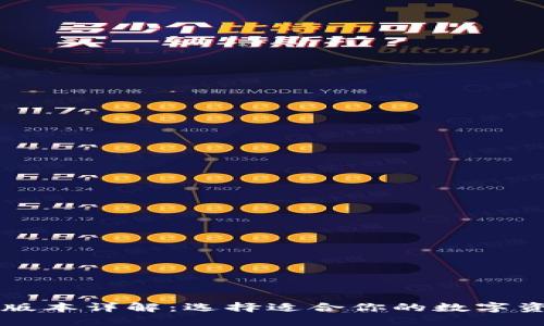 以太坊钱包版本详解：选择适合你的数字资产管理工具