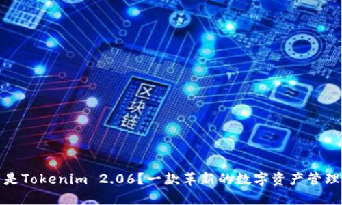 什么是Tokenim 2.06？一款革新的数字资产管理工具