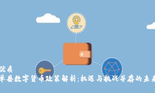 优质  
单县数字货币政策解析：机遇与挑战并存的未来