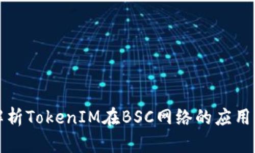 深入解析TokenIM在BSC网络的应用与前景