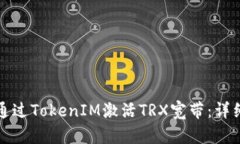 如何通过TokenIM激活TRX宽带