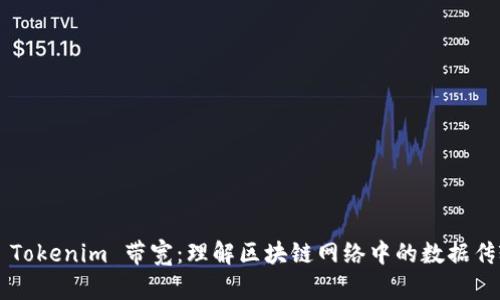 ### Tokenim 带宽：理解区块链网络中的数据传输能力