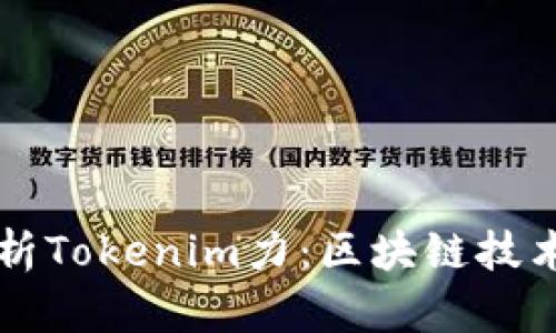 深度解析Tokenim力：区块链技术的未来