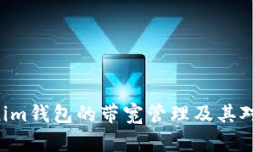 解密TokenTokenim钱包的带宽管理及其对用户体验的影响