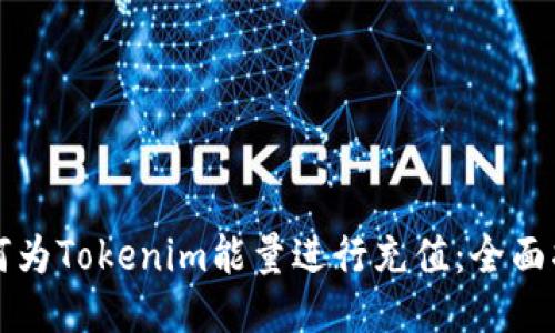 如何为Tokenim能量进行充值：全面指南
