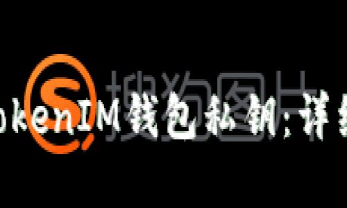 如何找回TokenTokenIM钱包私钥：详细步骤与实用指南