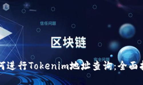 如何进行Tokenim地址查询：全面指南
