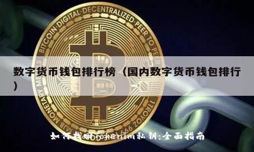 如何找回Tokenim私钥：全面指南