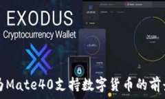   探讨华为Mate40支持数字货