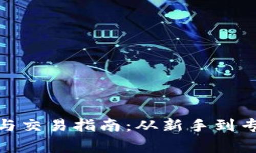 数字货币投资与交易指南：从新手到专家的全面攻略