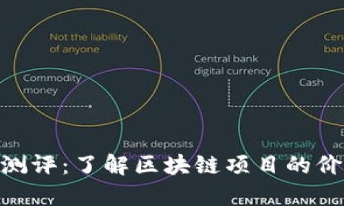 Tokenim测评：了解区块链项目的价值与潜力