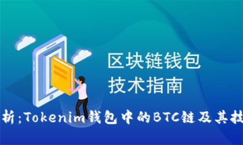 深度解析：Tokenim钱包中的BTC链及其技术背景