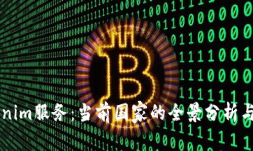 解密Tokenim服务：当前国家的全景分析与前景展望