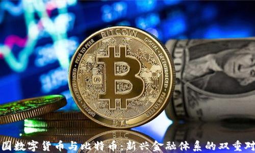
我国数字货币与比特币：新兴金融体系的双重对比