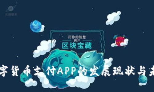 央行数字货币支付APP的发展现状与未来展望