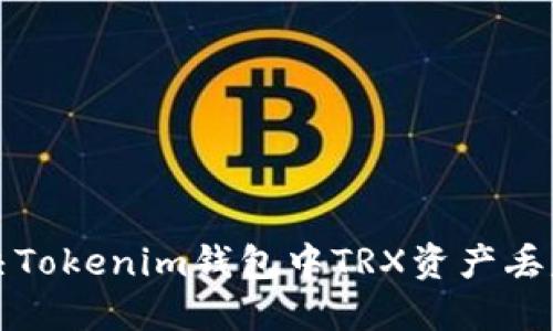 如何解决Tokenim钱包中TRX资产丢失的问题