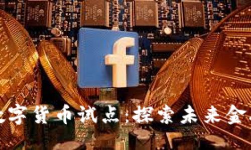 示例

人民银行数字货币试点：探索未来金融的新模式