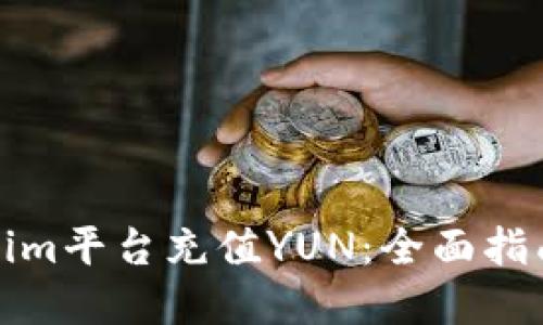 如何在Tokenim平台充值YUN：全面指南与实用技巧