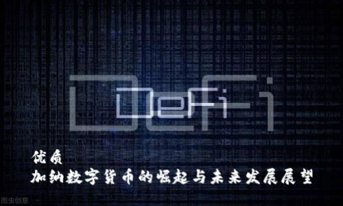 优质
加纳数字货币的崛起与未来发展展望