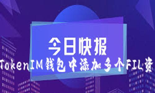 如何在TokenTokenIM钱包中添加多个FIL资产的详细教程