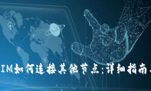 TokenIM如何连接其他节点：详细指南与策略
