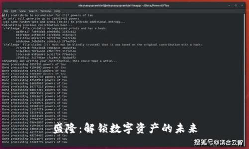 盛隆：解锁数字资产的未来
